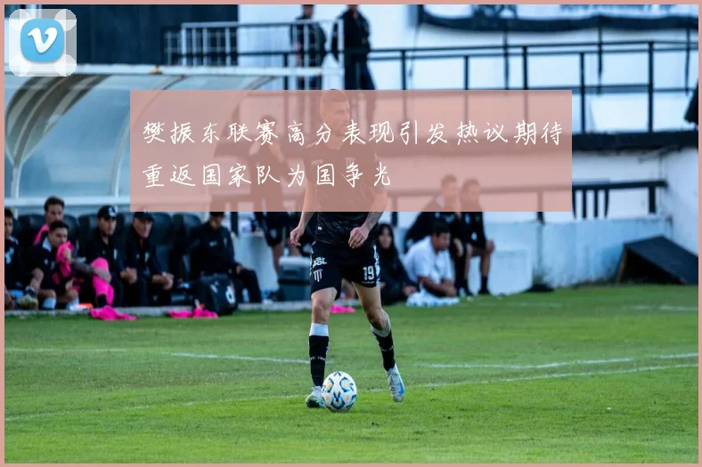 樊振东联赛高分表现引发热议期待重返国家队为国争光